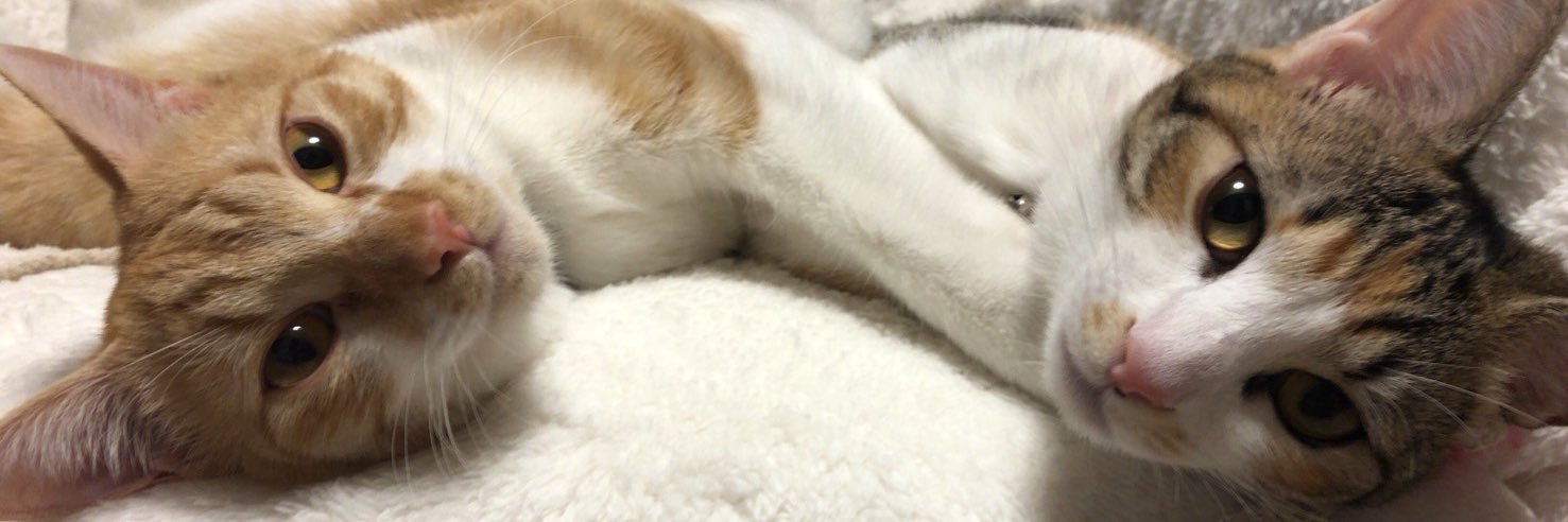 ウララむら banner
