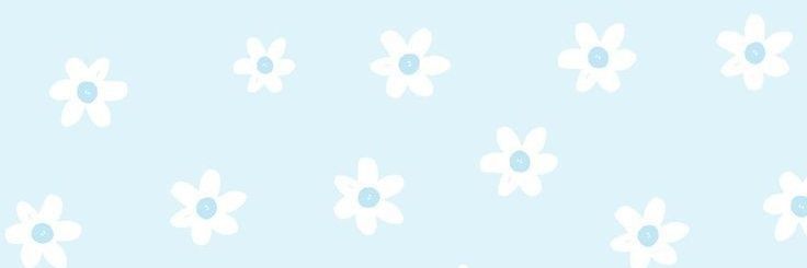 noyyy! banner