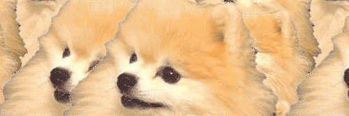 Wowoliver's profile banner image