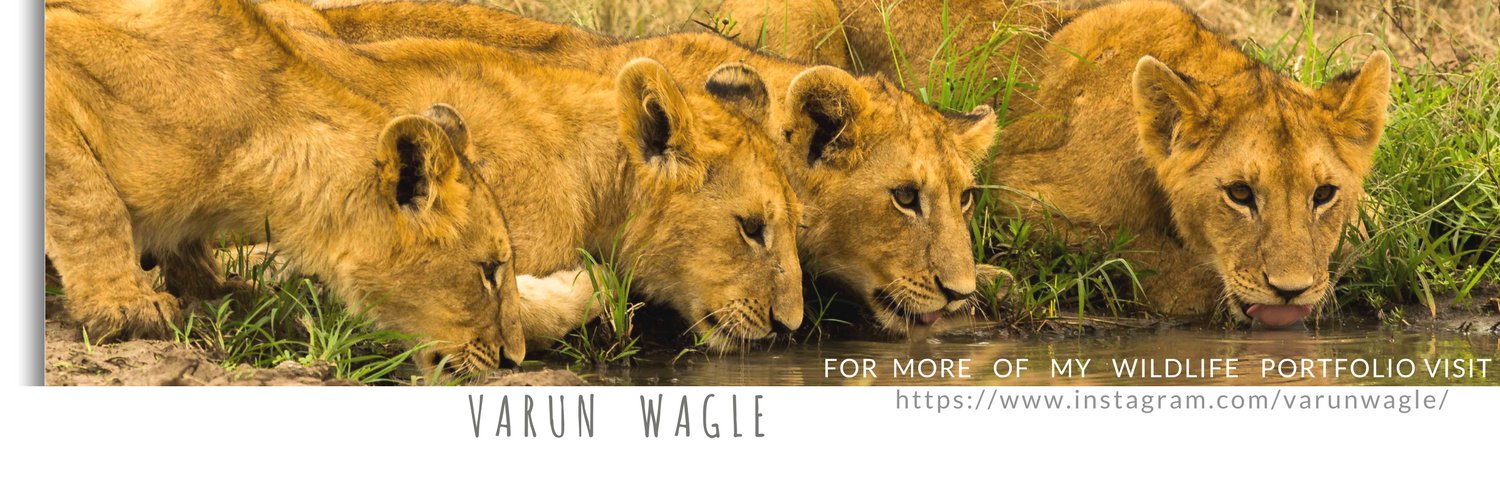 varunwagle's profile banner image