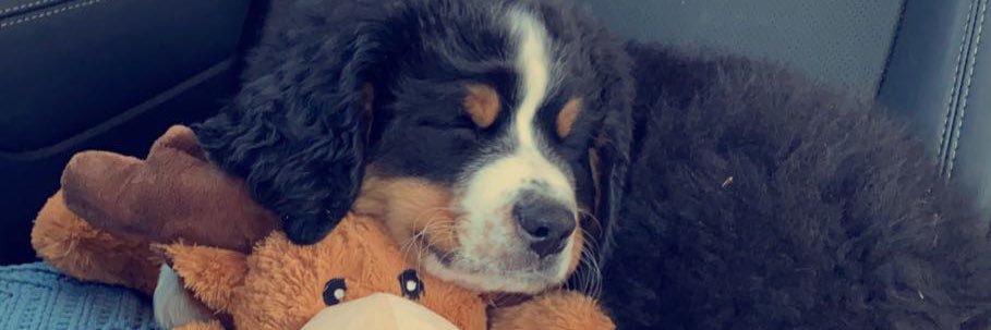 HaleyyFournier's profile banner image