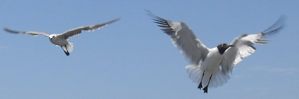 cbradin44 Profile Banner