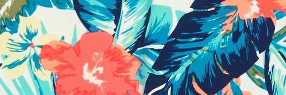 FlorCarbonell1's profile banner image