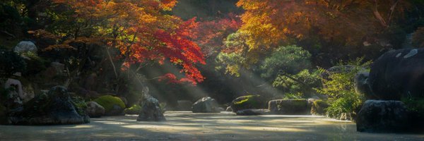 0xthanh Profile Banner