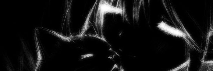 soogahbear's profile banner image
