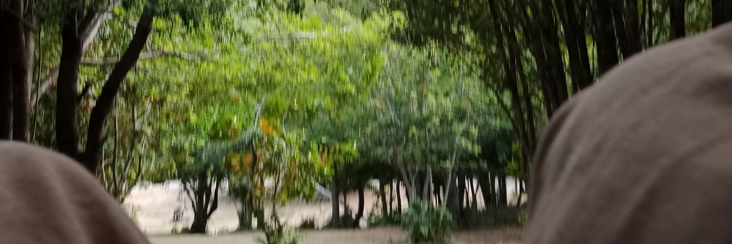 dogMAANnn's profile banner image