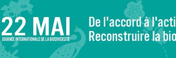 CLDAofficiel's profile banner image