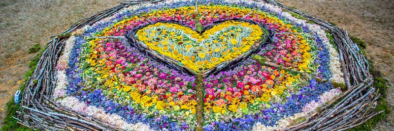 Beloved Emergence banner