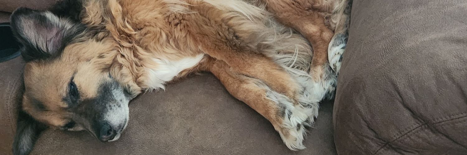 wiccaless's profile banner image