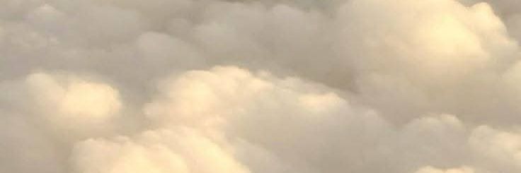 c09bella's profile banner image