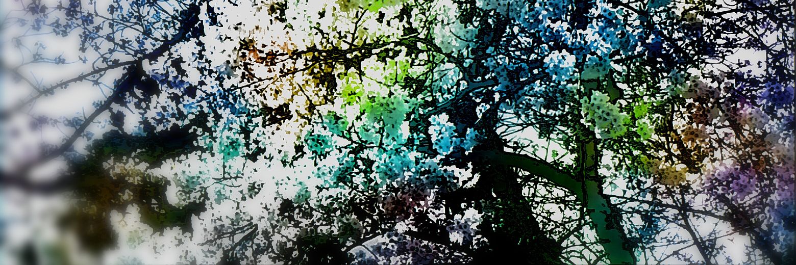 railrairu's profile banner image