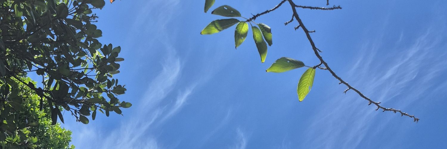 CPK_FN's profile banner image