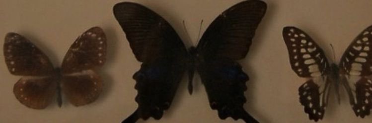 obviousAG's profile banner image