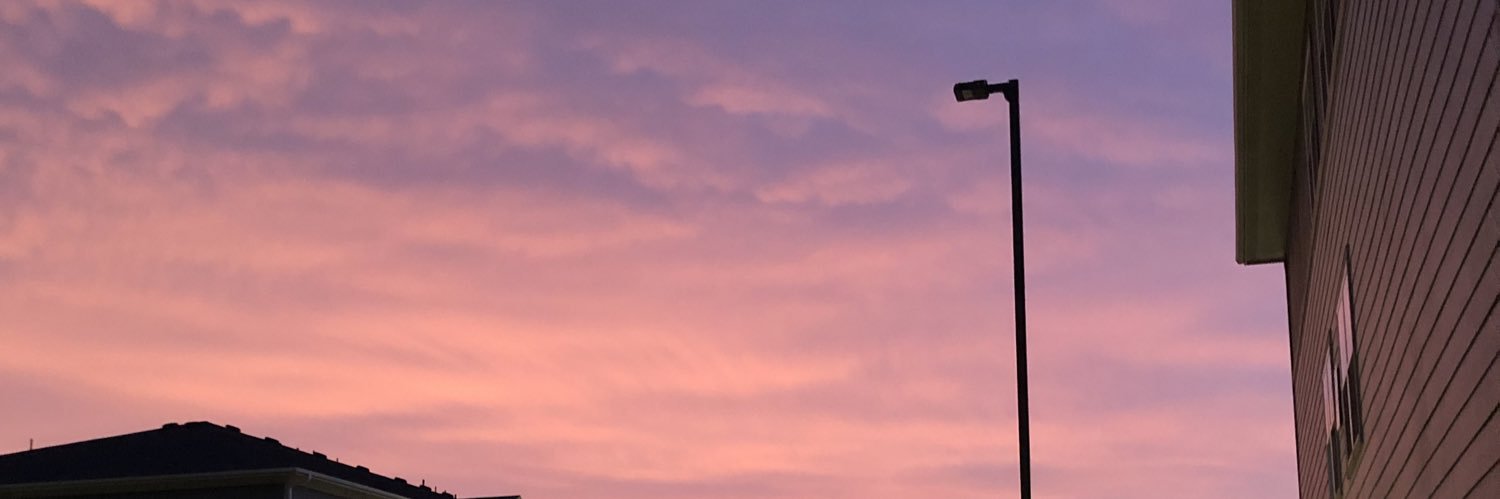 thahopester's profile banner image