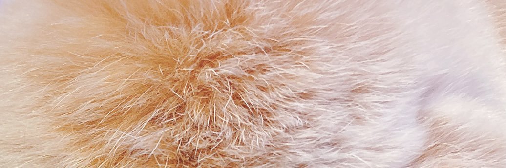 🫧火丁シ由ごﾚよω🤍蒸発ﾉヽ°･/ヶ─≠💗🪞 banner