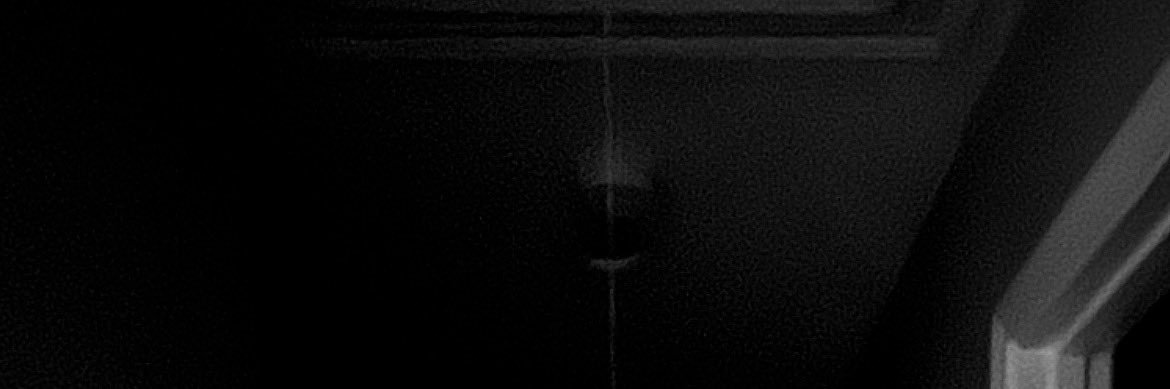 melendez808's profile banner image