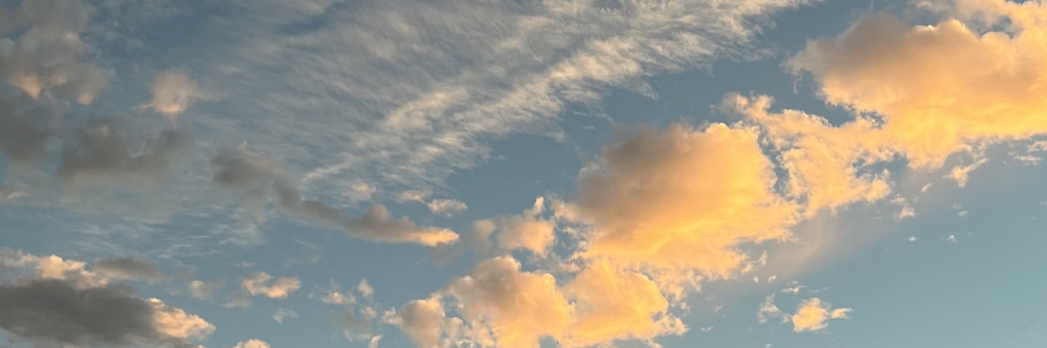 VictoriaBeneto's profile banner image