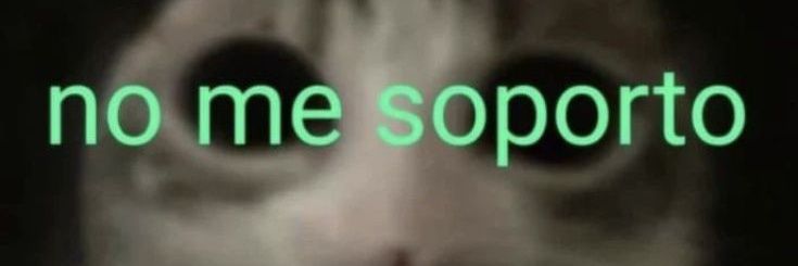 asap roquin banner