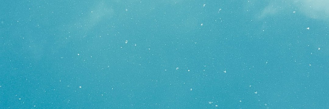 minuscule_flo's profile banner image
