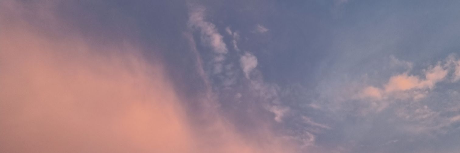 for sohee 🦋 banner