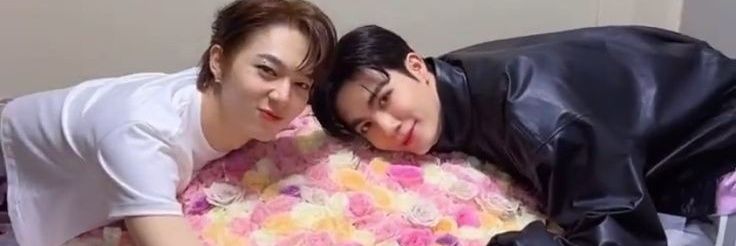 marcyhamster22's profile banner image