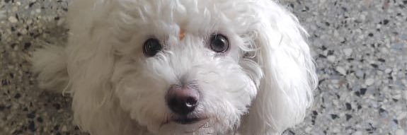 soyrhay's profile banner image
