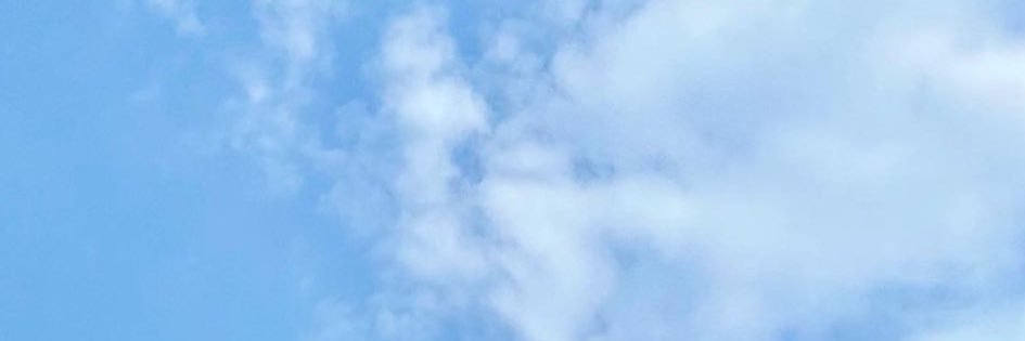0122snhs1's profile banner image