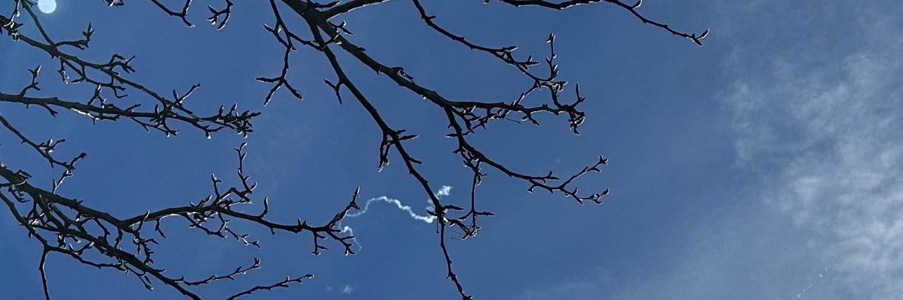 gfy612's profile banner image