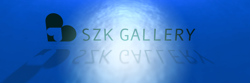 szk_gallery's profile banner image