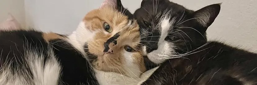 _marimar_x's profile banner image