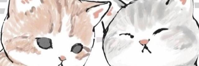 rimas banner