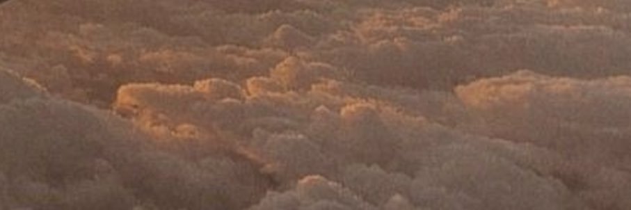 shaymunoz's profile banner image