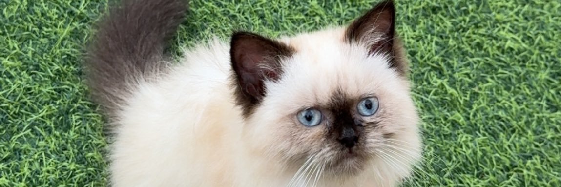3wash❣️ banner