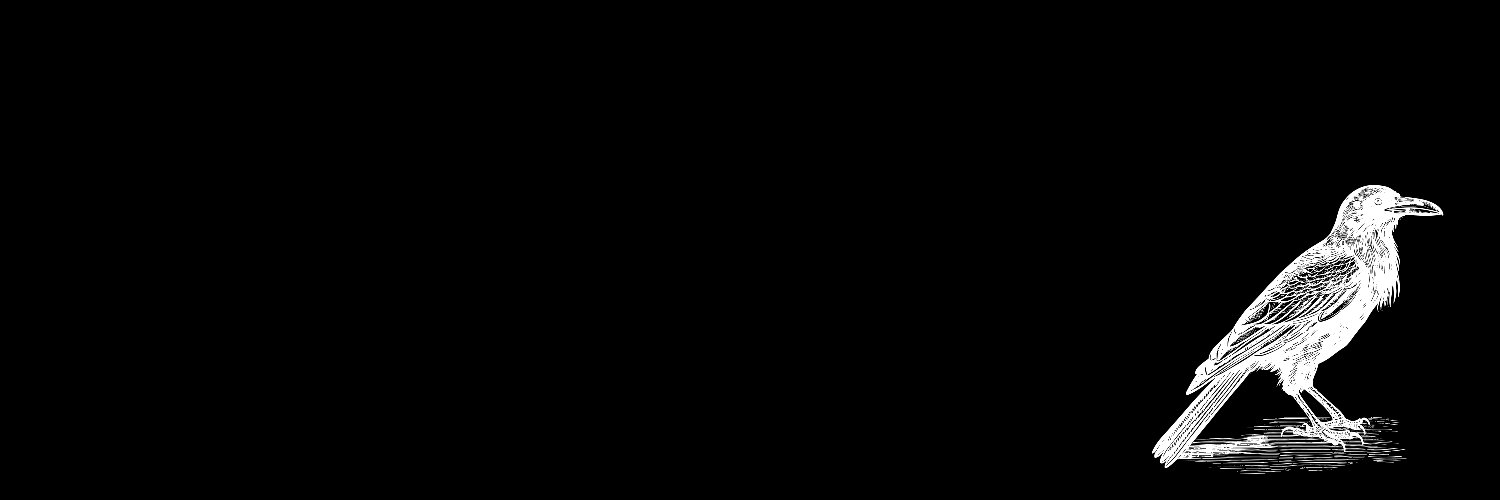 KdrOzt's profile banner image