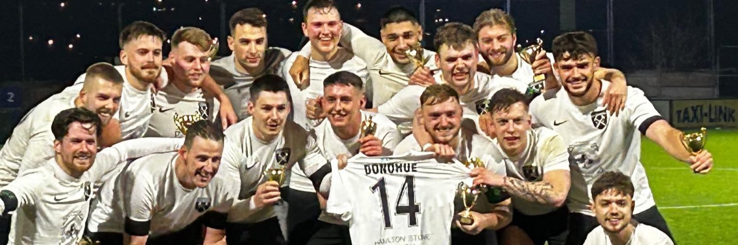 Haywards Heath Hammers banner