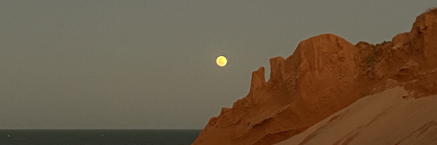 macabea 🐒 banner