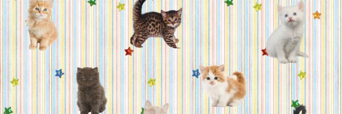 pollypocketdoll's profile banner image