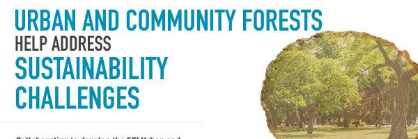 treevangelist Profile Banner