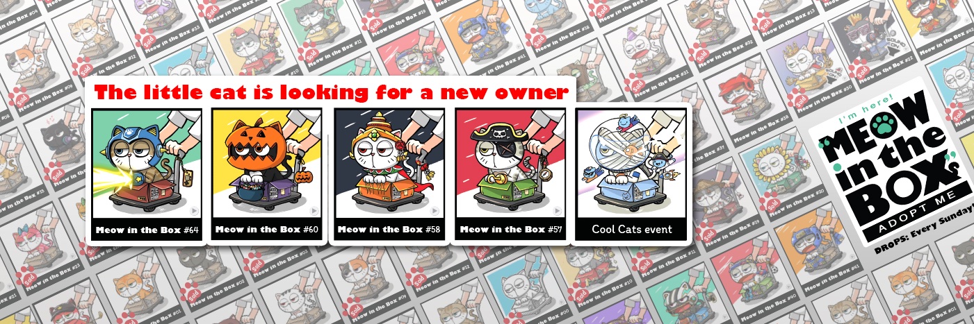 meow_inthebox's profile banner image