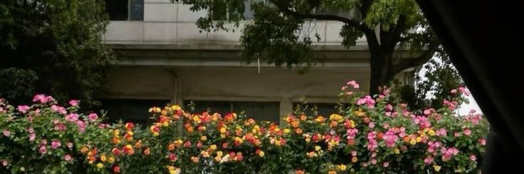itsessx's profile banner image