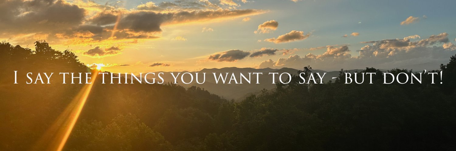 Pope Leodis the 14th banner