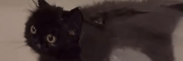 netw3rm's profile banner image