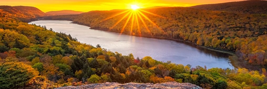 TxPatriotGal🇺🇸 banner