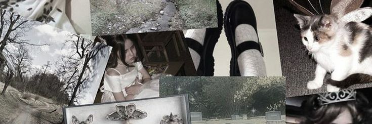 ‎ ⁎ 𝓐m͟o ❀ banner