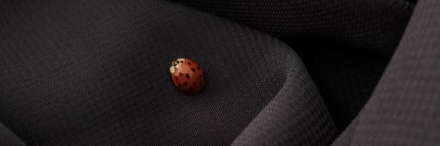 Angiebircher_'s profile banner image