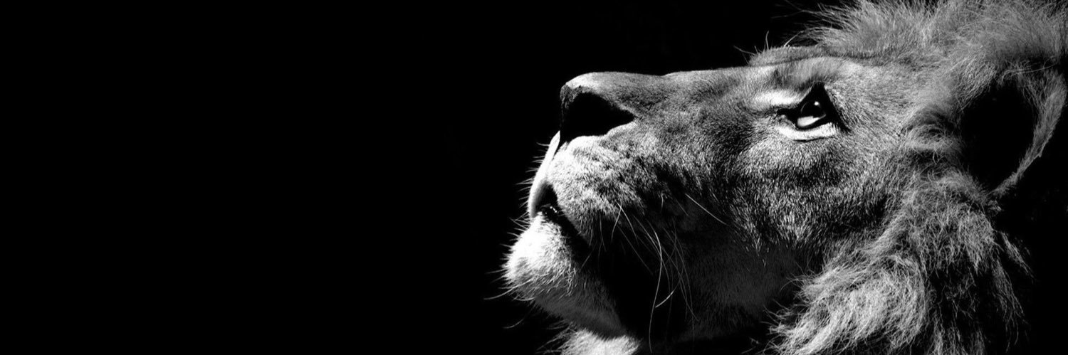 DaMindDoc's profile banner image