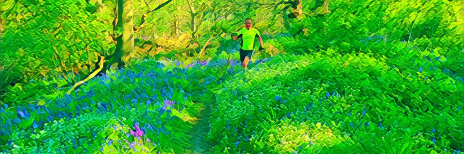 howardlake's profile banner image