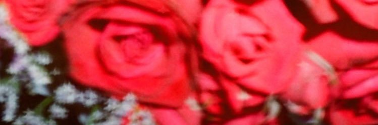 Obsessedette's profile banner image