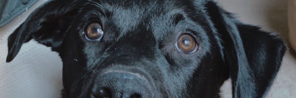 gabs_22_5's profile banner image