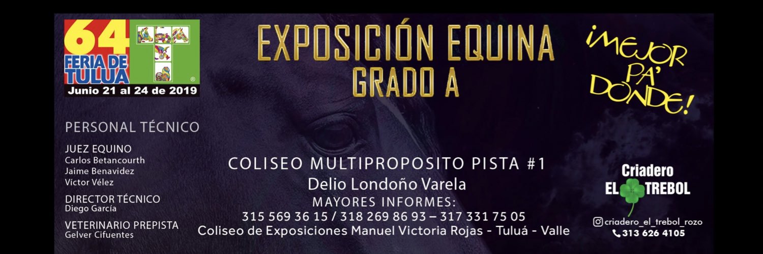 ventanapasofino's profile banner image